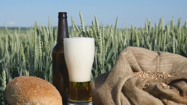 Стакан пива и хлеб на пшеничном поле — стоковое видео