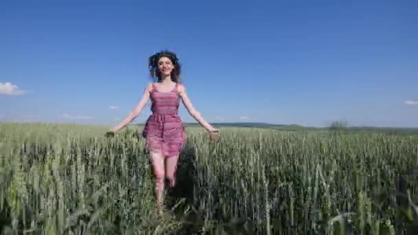 Красавица бегает по зеленому пшеничному полю. Понятие свободы. Счастливая женщина на улице. Урожай — стоковое видео