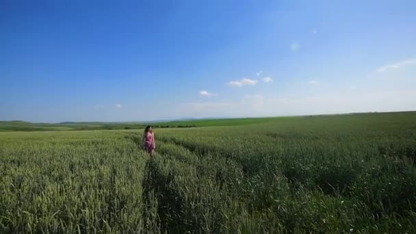 Молода жінка стоїть на пшеничному полі з блакитним небом на фоні — стокове відео