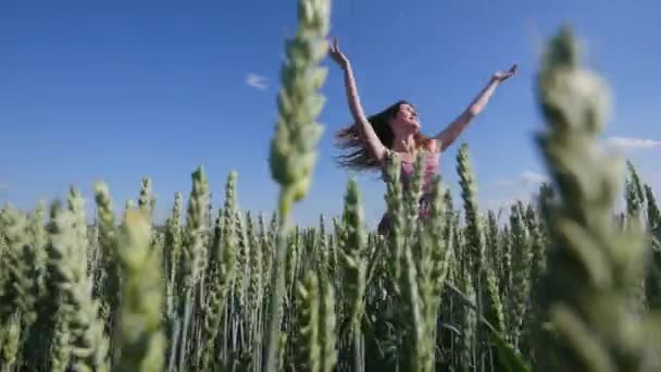 Bela jovem mulher saltando no campo de trigo verde no céu azul fundo — Vídeo de Stock