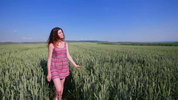 Güzellik kız buğday alanında arkasında yürüyüş. ağır çekim — Stok video