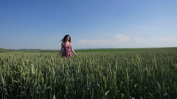 Walking behind beauty girl in wheat field. slow motion