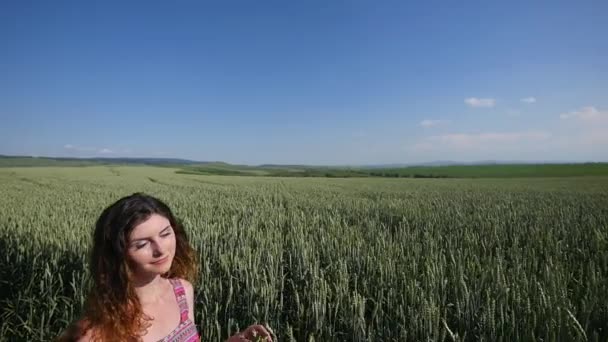 Mujer joven de pie en un campo de trigo con el cielo azul en el fondo — Vídeos de Stock