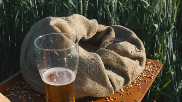 Ett glas öl och väska av korn i en veteåker — Stockvideo