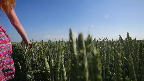 Chica joven caminando a través de un campo verde — Vídeos de Stock