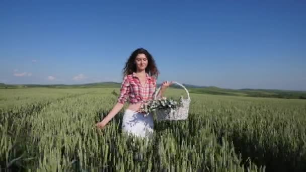 Mujer joven caminando con cesta con flores un campo de trigo con cielo azul en el fondo — Vídeos de Stock