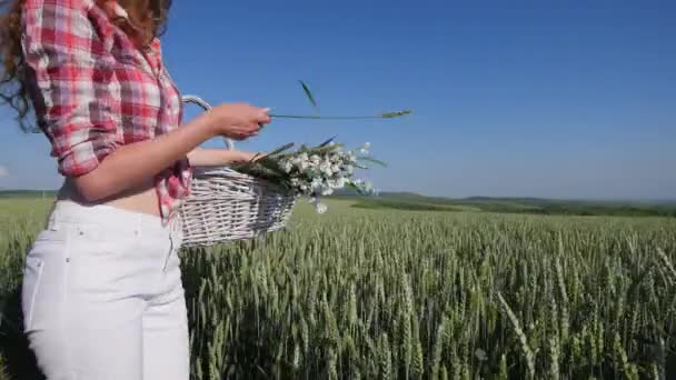 Mujer joven caminando con cesta con flores un campo de trigo con cielo azul en el fondo — Vídeos de Stock