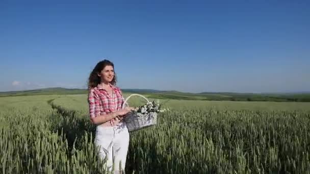 Mujer joven caminando con cesta con flores un campo de trigo con cielo azul en el fondo — Vídeos de Stock