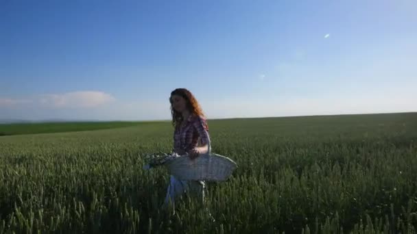 Mujer joven caminando con cesta con flores un campo de trigo con cielo azul en el fondo — Vídeos de Stock