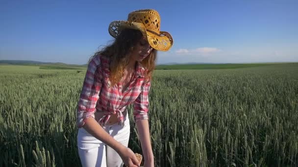 Dziewczyna rolnik z bliska pour garść ziaren pszenicy w polu pszenicy — Wideo stockowe