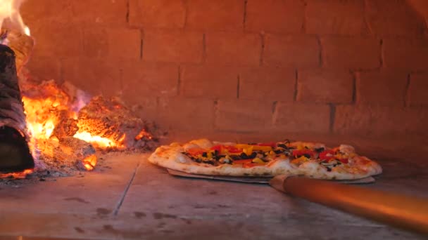 Pizza bakning i en trä eldas ugnen — Stockvideo