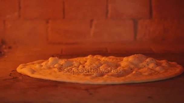 Pizza bagning i en brændeovn – Stock-video