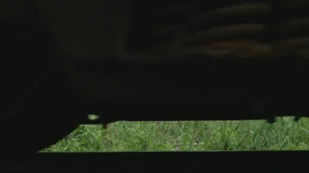 Ein niedriger Winkel Ansicht der Waggons entlang eines Gleises niedrigen Winkel Ansicht des Zuges ein niedriger Winkel Ansicht der Waggons entlang eines Gleises — Stockvideo