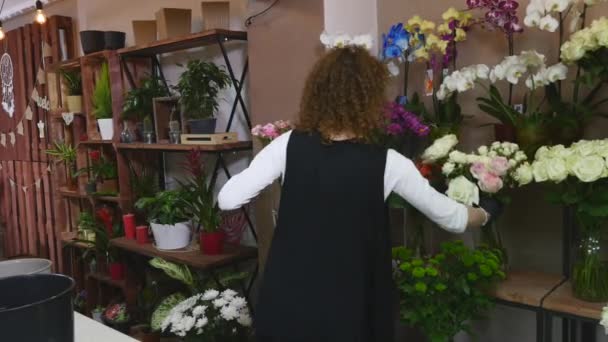Primer plano de una floristería mujer poniendo jarrones con diferentes flores hermosas en los estantes de la tienda — Vídeos de Stock
