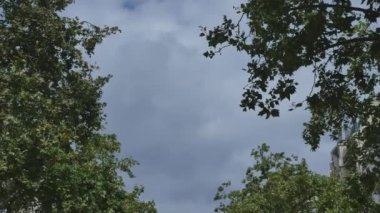 Eyfel Kulesi Paris görünümünü Fransa çerçeveli ağaçlarda