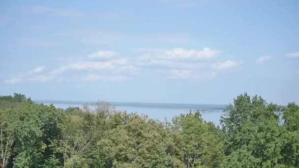 Bewachsene Pflanzen gegen den blauen Himmel am Flussufer — Stockvideo