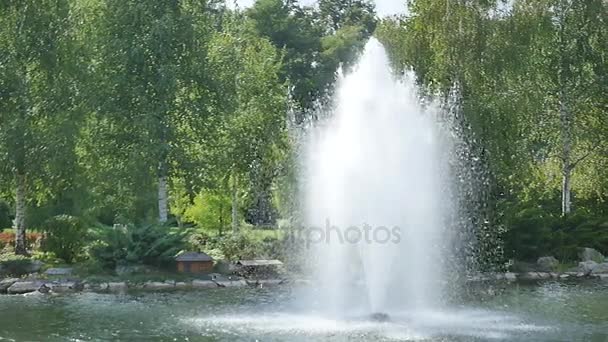 La fontana sul lago nel parco — Video Stock