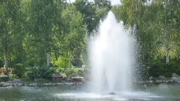 La fuente en el lago en el parque — Vídeo de stock