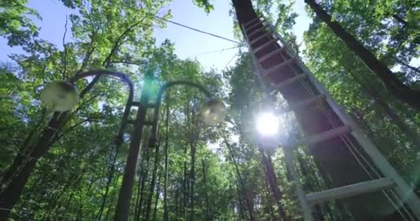 Die Sonne scheint durch die Bäume — Stockvideo