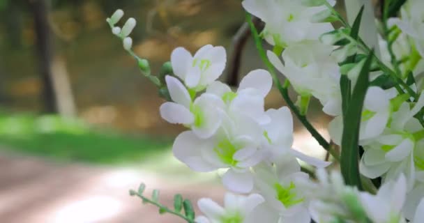 Decorações para cerimônia de casamento com movimento deslizante — Vídeo de Stock