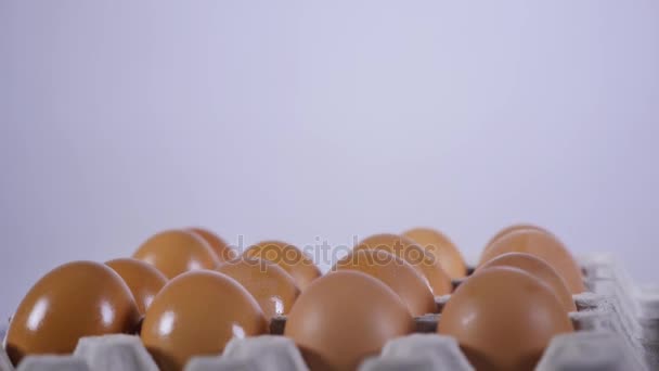 段ボールのトレイに卵を濡れています。 — ストック動画