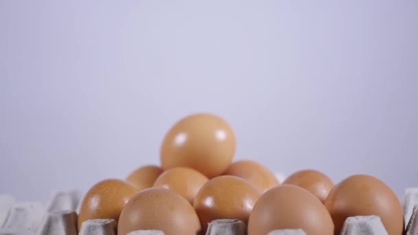 A mans hand folds eggs into a cardboard tray — Stock Video