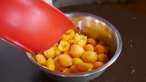 Bowl of apricots with sugar, flour and nuts. time lipse — Stock Video