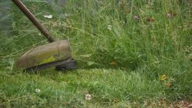 işçi el ile yeşil çim biçme bahar gününde mows.