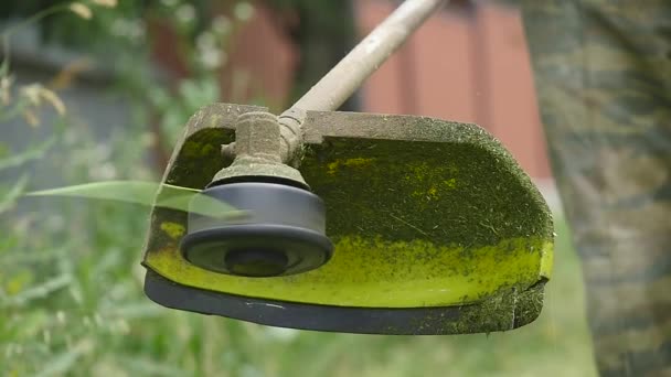 Cutting green grass with lawnmower, close-up — Stock Video