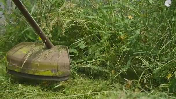 Gräsklippare som klipper gräset i slow motion — Stockvideo