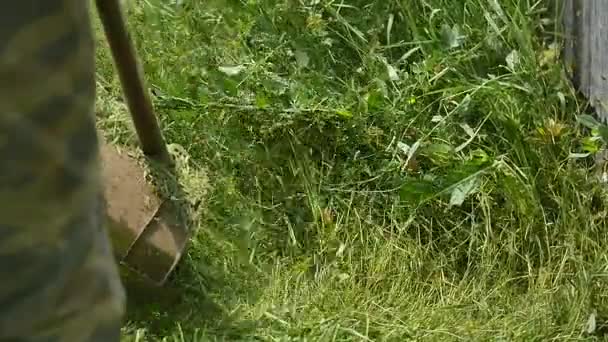 Человек, стригущий траву в саду — стоковое видео