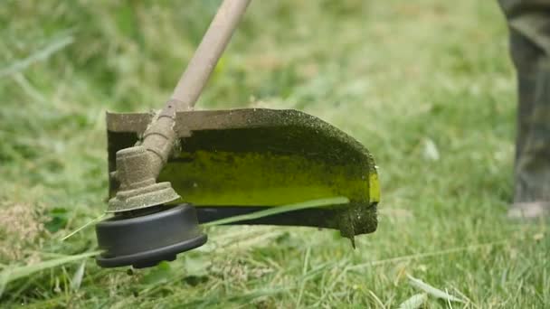 Coupe d'herbe verte avec tondeuse à gazon, gros plan — Video