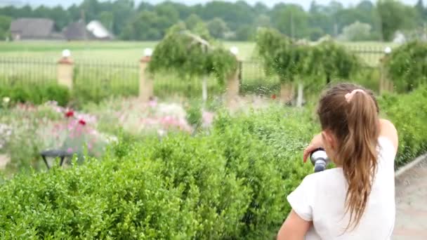 Niña regando hierba verde en el jardín. Linda niña está sosteniendo la aspersión y rociando el césped sobre una luz brillante y soleada, destello de la lente. Concepto de infancia feliz — Vídeo de stock