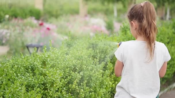 Маленька дівчинка поливає зелену траву в саду. Симпатична дівчинка тримає спринклер і розбризкує газон на сонячному яскравому світлі, блищить лінза. Концепція щасливого дитинства — стокове відео