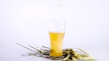 Bira bardağına bir demet buğday beyaz zemin üzerine dökülen