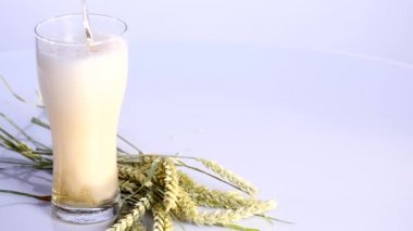 Bira bardağına bir demet buğday beyaz zemin üzerine dökülen