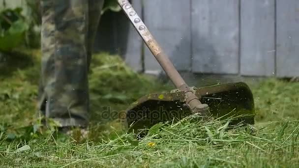 Corte de grama verde com cortador de grama, close-up — Vídeo de Stock