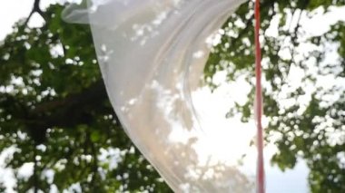 Güneş ağaçların arasından parlıyor.