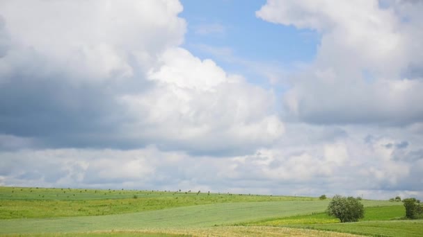 Zeitraffer mit Wolken über einem Feld — Stockvideo