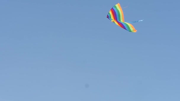 Cometa colorida volando en el soleado cielo azul del verano. Juguete para niños diversión, actividad de ocio, recreación — Vídeos de Stock