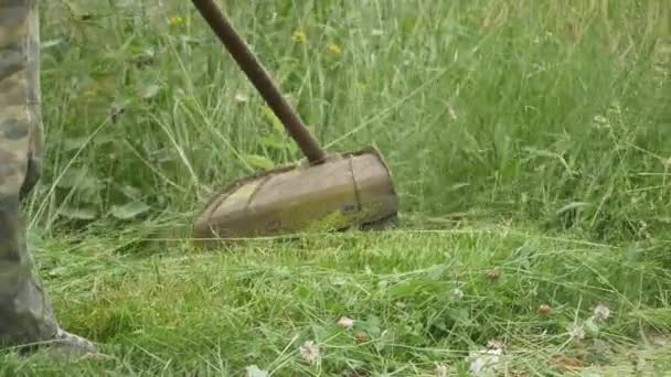 Рабочий стрижет зеленую газонокосилку в весенний день — стоковое видео