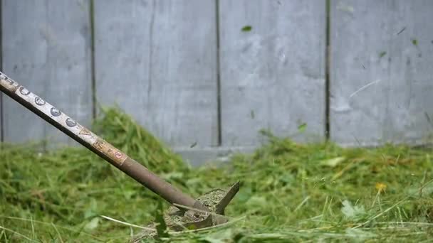 切割用的割草机，绿草特写 — 图库视频影像