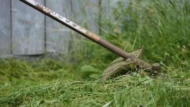 Cutting green grass with lawnmower, close-up — Stock Video