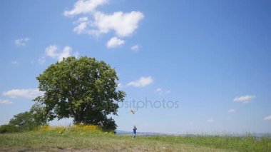 Küçük çocuk çocuk zevk uçan ile yürüyüş uçurtman eğlenceli doğa pikniğe. ağır çekim