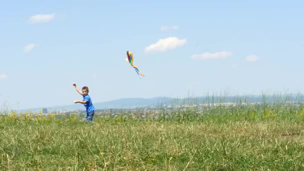 Jongetje kind geniet van wandelen met Flying Kite veel plezier op natuur picknick — Stockvideo