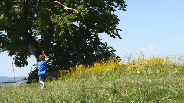 Niño pequeño disfruta caminando con cometa voladora diviértete en la naturaleza Picnic — Vídeos de Stock