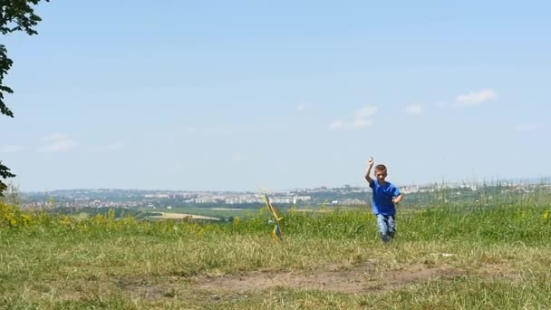 Мальчик-ребенок наслаждается прогулкой с летающим воздушным змеем весело провести время на природе пикник — стоковое видео