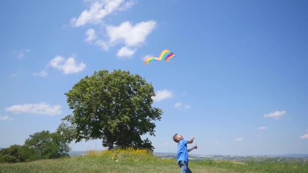 Dítě chlapeček si užít procházky s Flying Kite bavit na piknik v přírodě. Zpomalený pohyb — Stock video