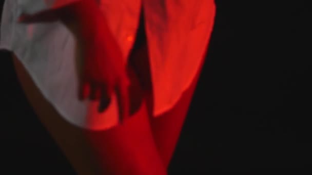 Boldog Slim fiatal nő vörös hajat visel nyitott hosszú ujjú inget és szexi sötét fehérnemű stúdió — Stock videók