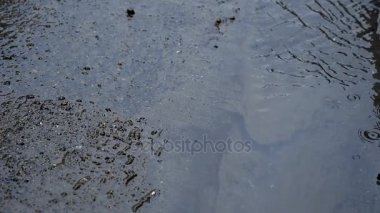 Yağmurlu bir günde, ağır çekim yağmur suyu dereye